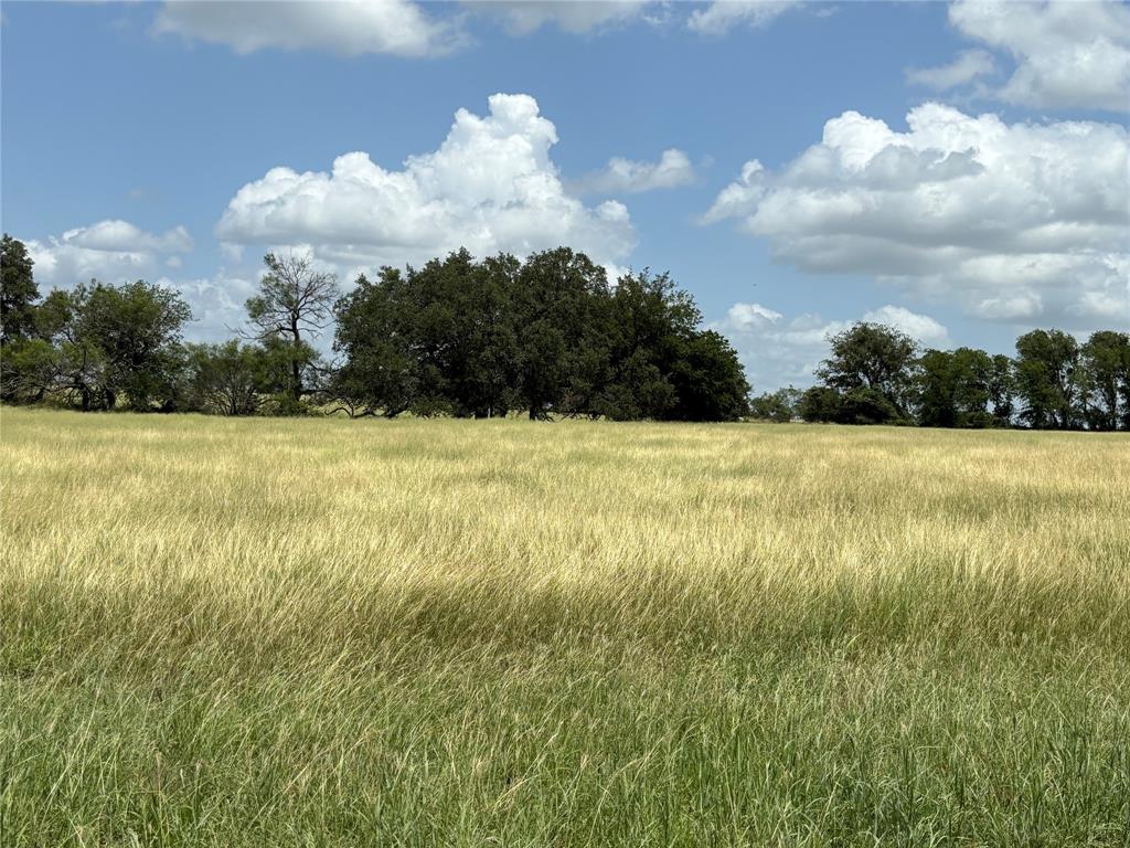 Lot 4 Old Patton Road