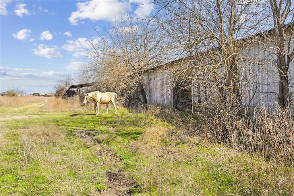 Irwin Branch- Rev - Farm
