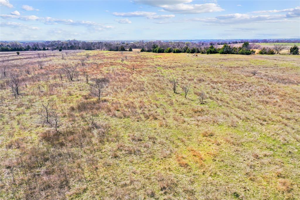 Irwin Branch- Rev - Farm