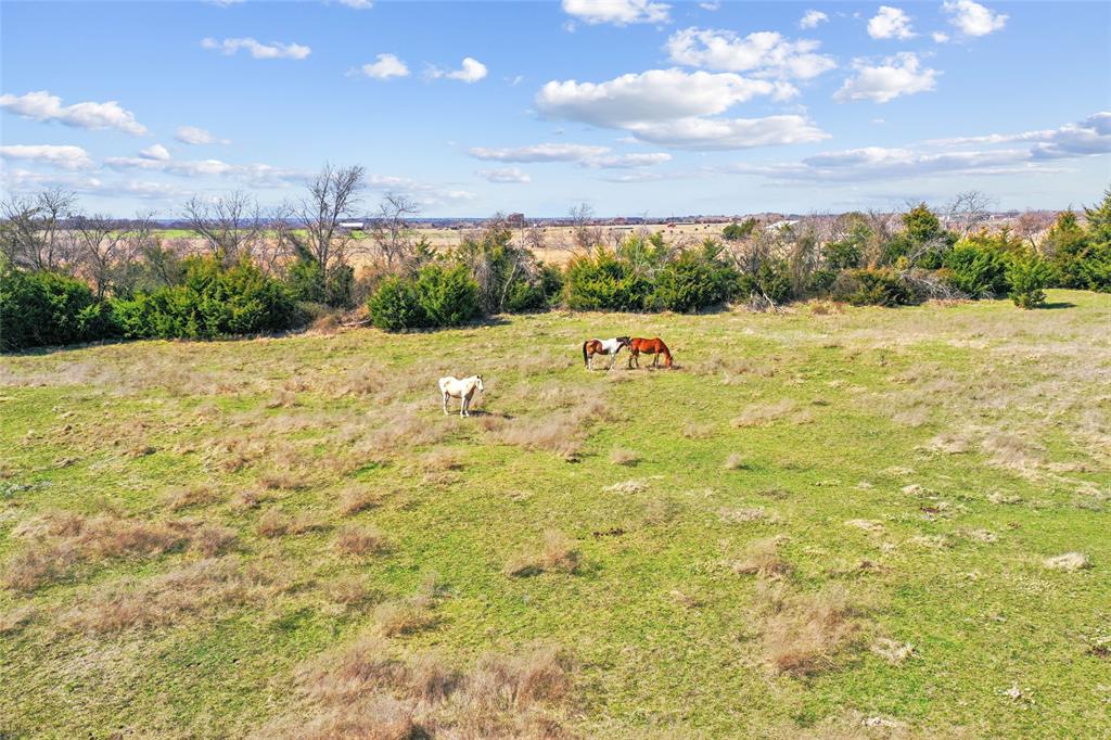 Irwin Branch- Rev - Farm