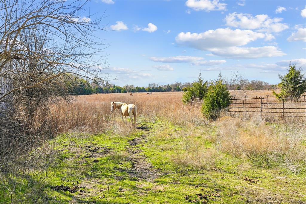 Irwin Branch- Rev - Farm