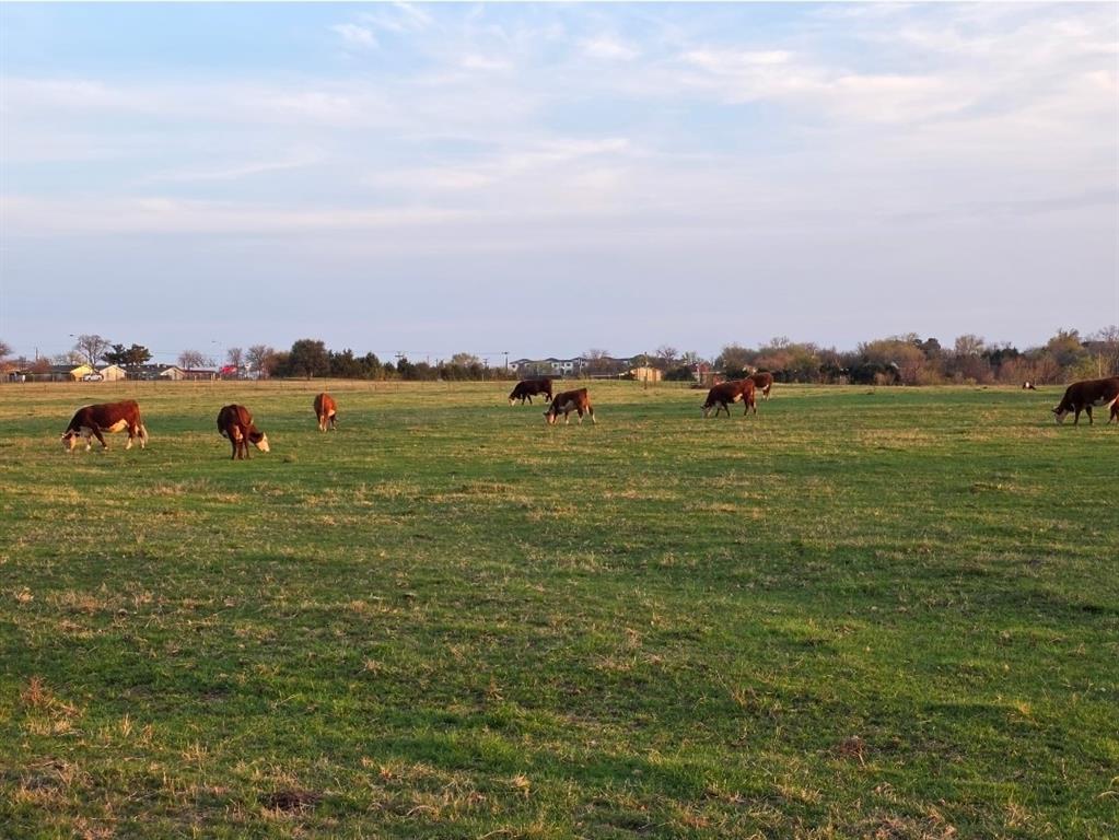 Daggett E Surv - Residential