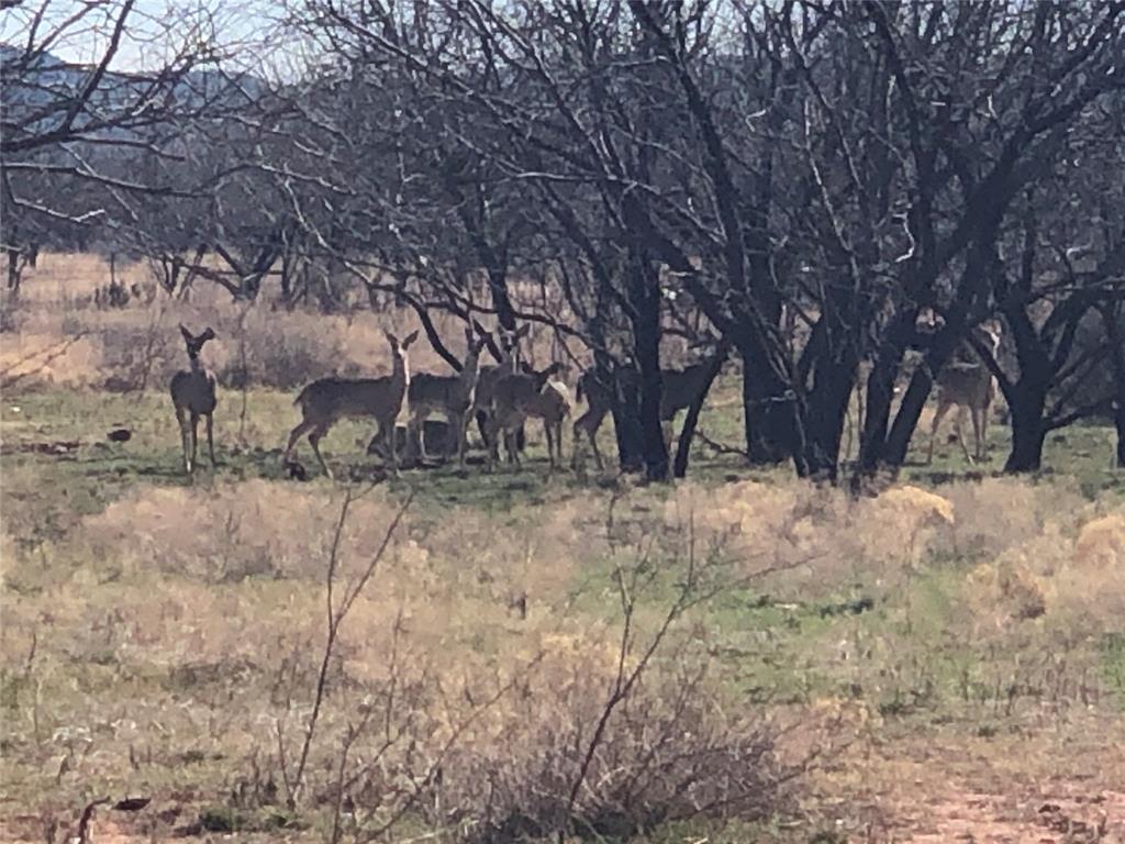 90 Acre Bacacita Farms Road