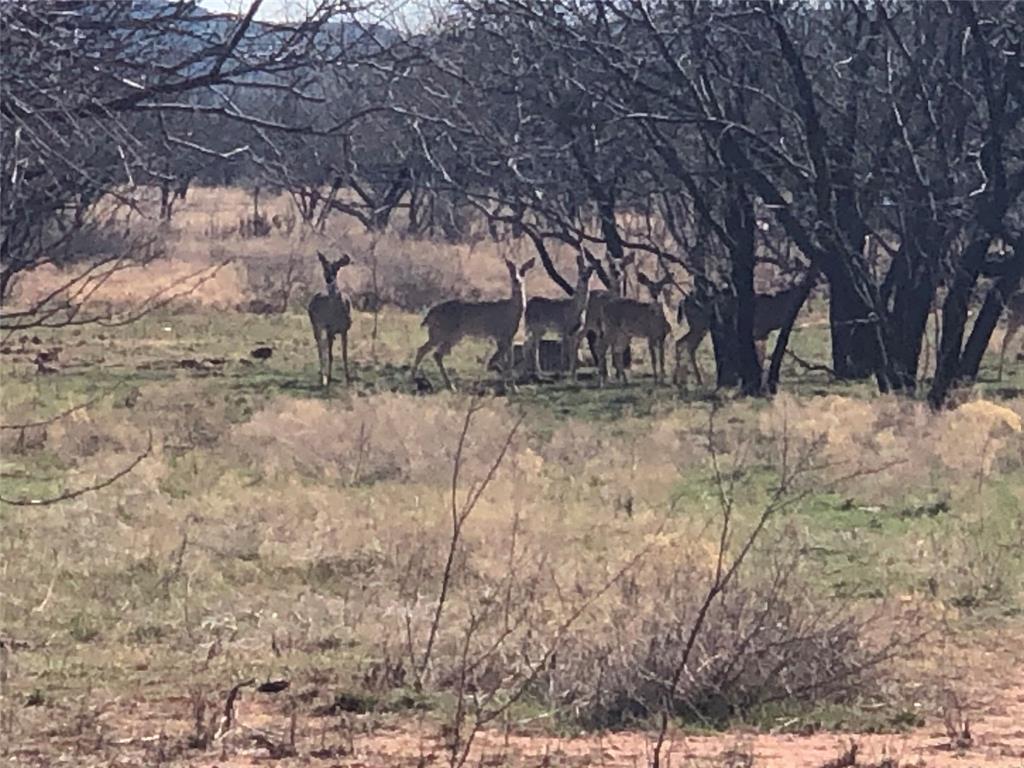 90 Acre Bacacita Farms Road