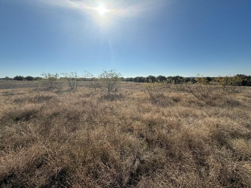 000 Mockingbird Lane