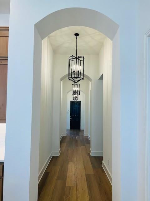 1806 Swayback Lane