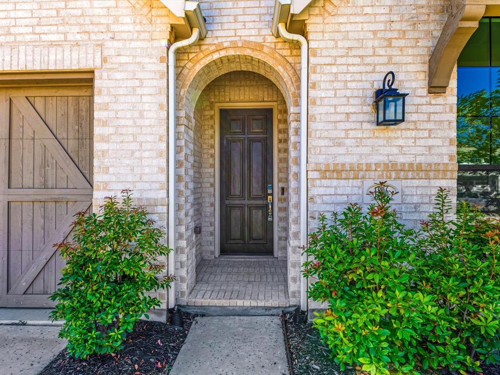 1806 Swayback Lane