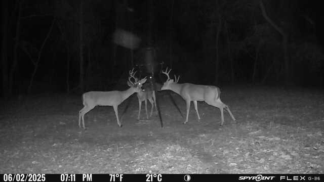 8091 S TX Hwy 37