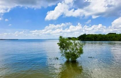 Lakeshore Estates - Residential