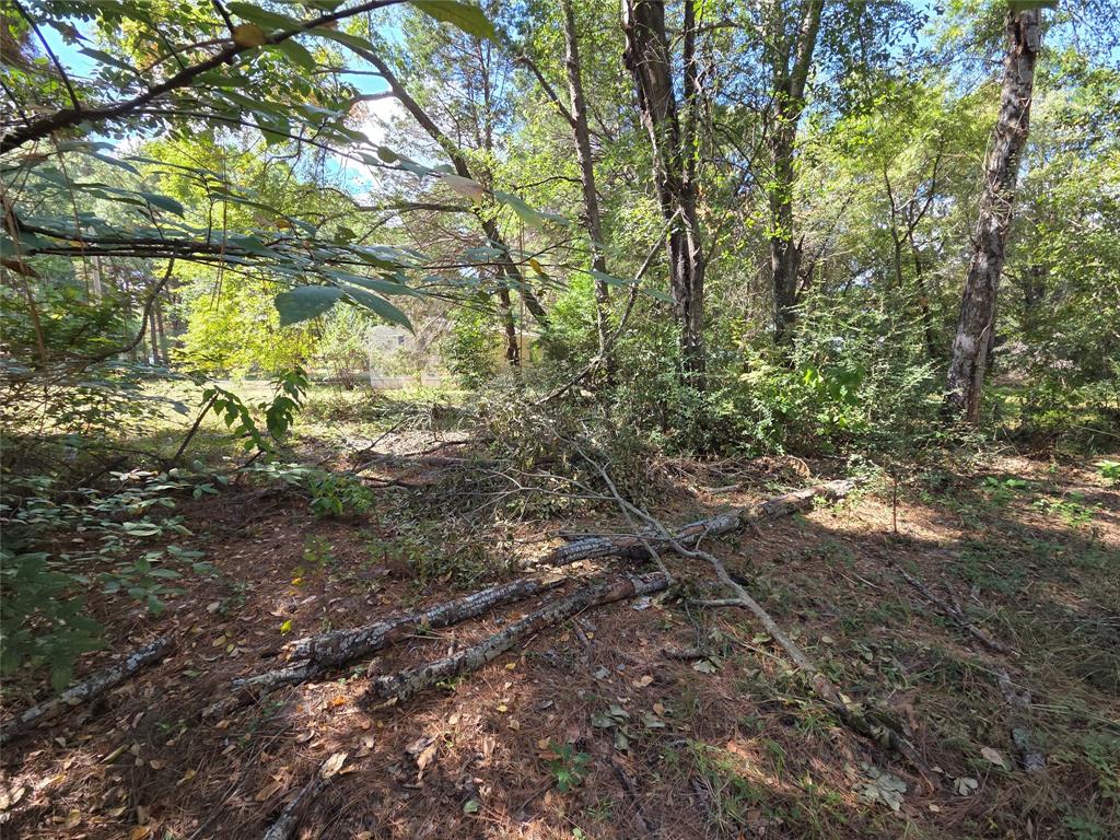 Southern Oaks Ph One - Land