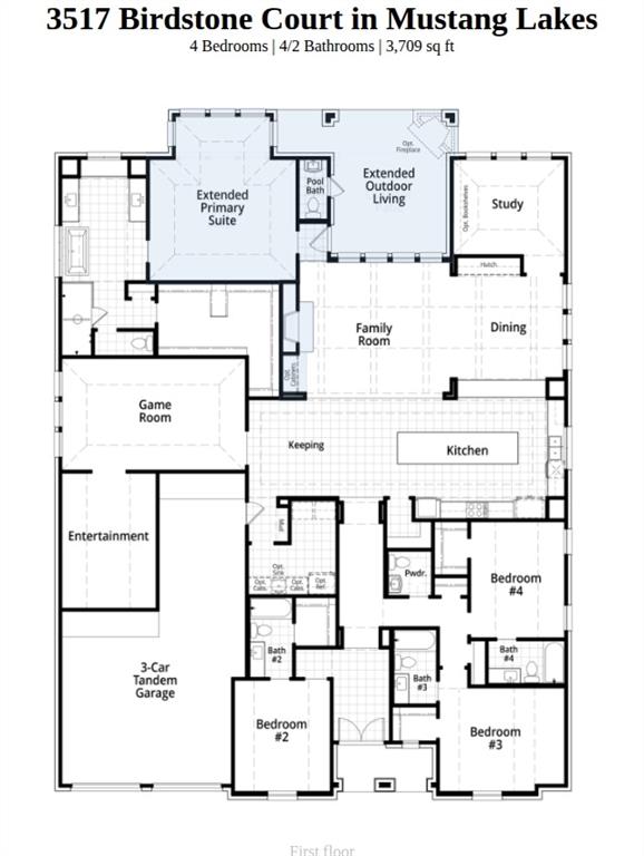 3517 Birdstone Court