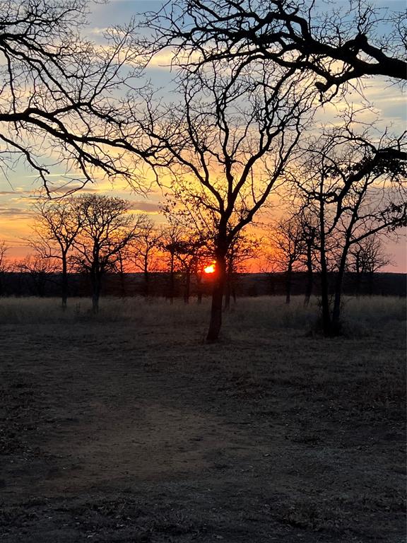 AB1640 M R McAfee - Farm