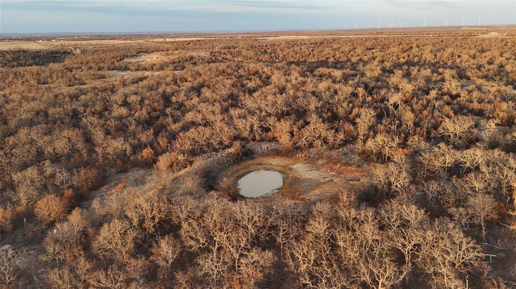 AB1640 M R McAfee - Farm