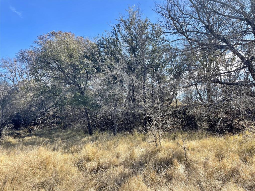 River Bend Ranch - Land