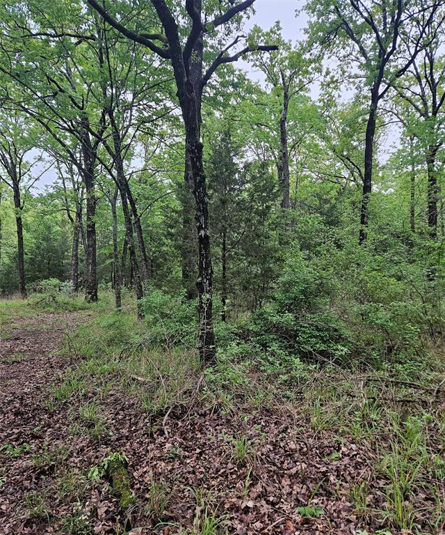 01 Private 5401 Road