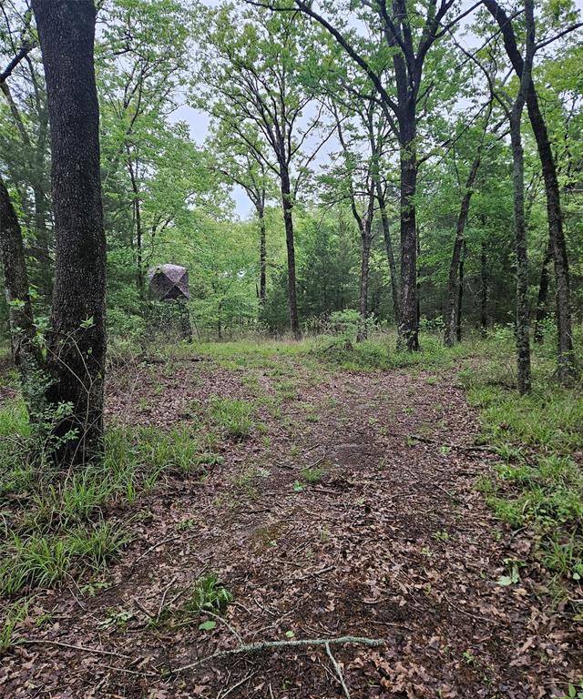 01 Private 5401 Road