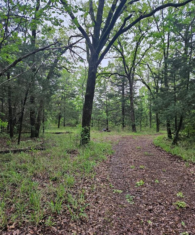01 Private 5401 Road