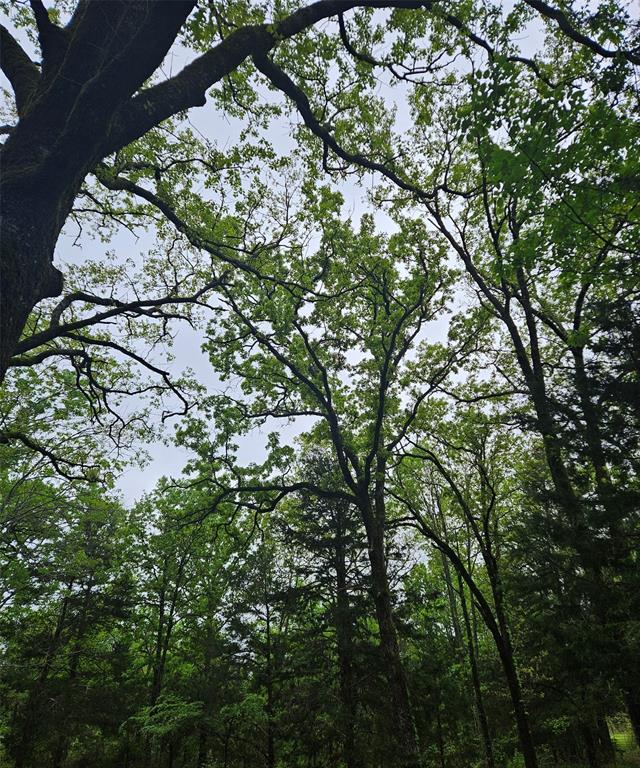 Forest Grove Sub - Land