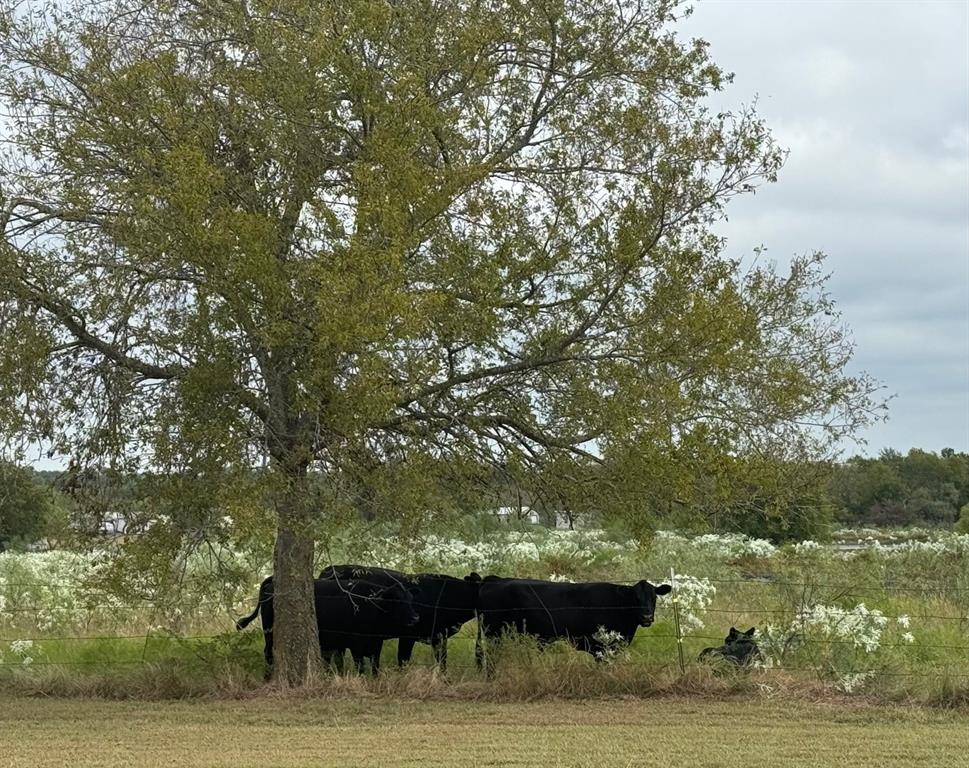 R C Dixon Mailing Add - Farm