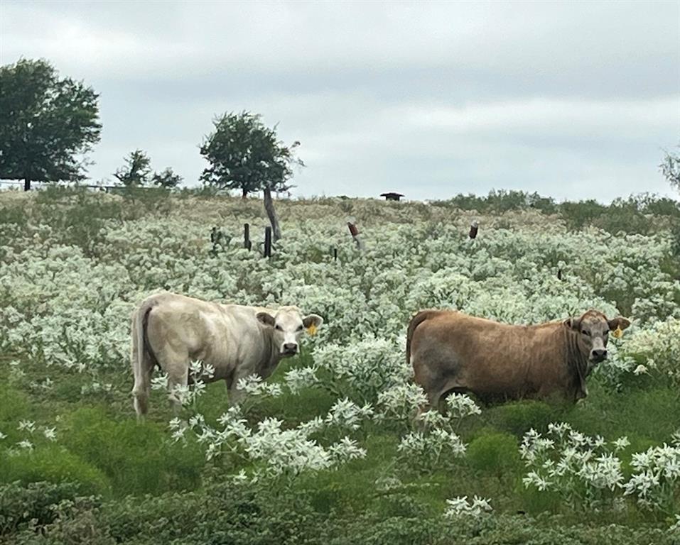 R C Dixon Mailing Add - Farm