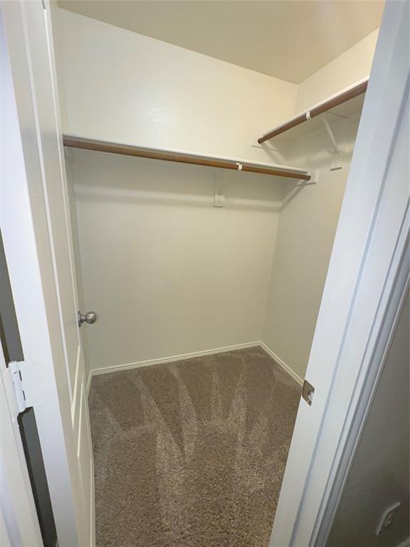 Palmilla Springs - Residential