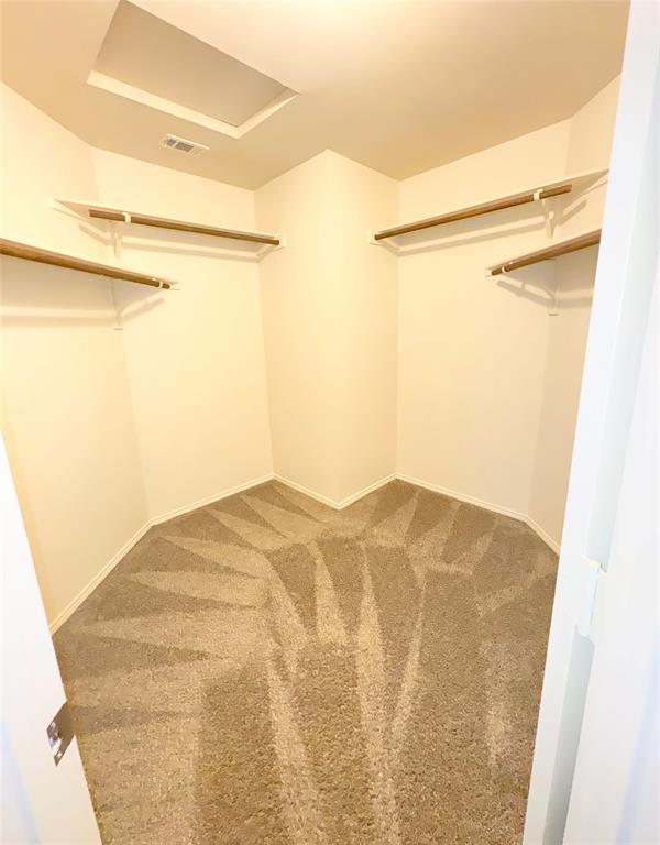 Palmilla Springs - Residential