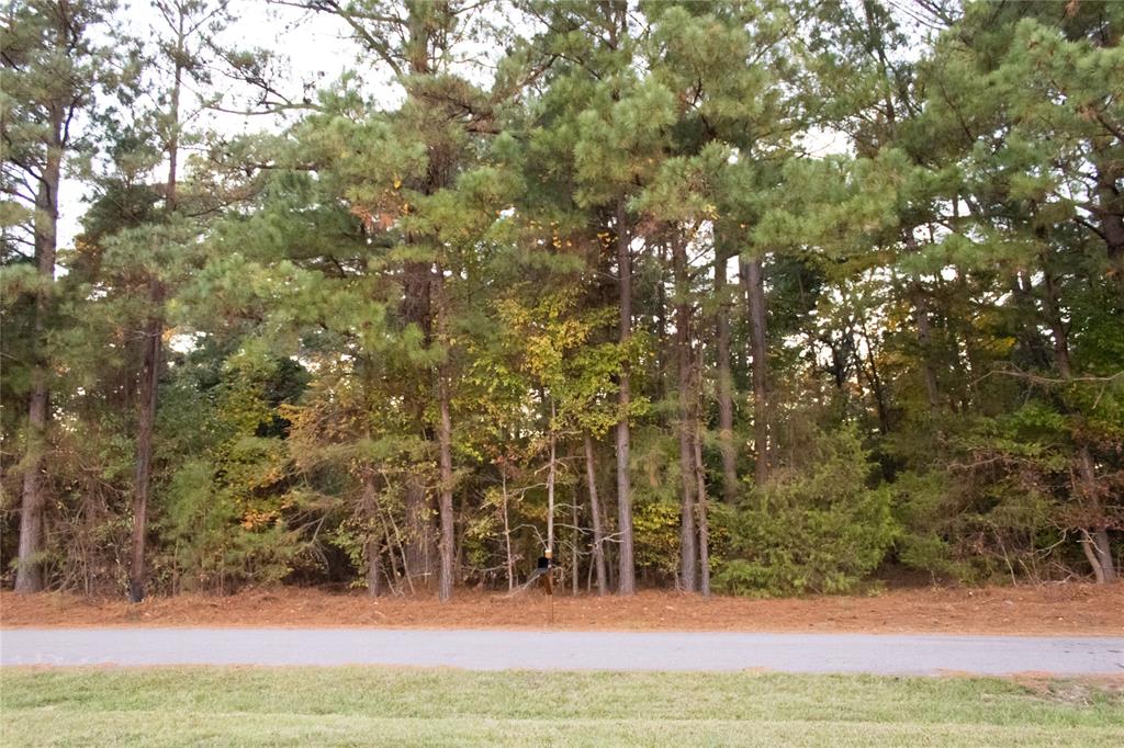 Clear Lakes, Zone 2 - Residential