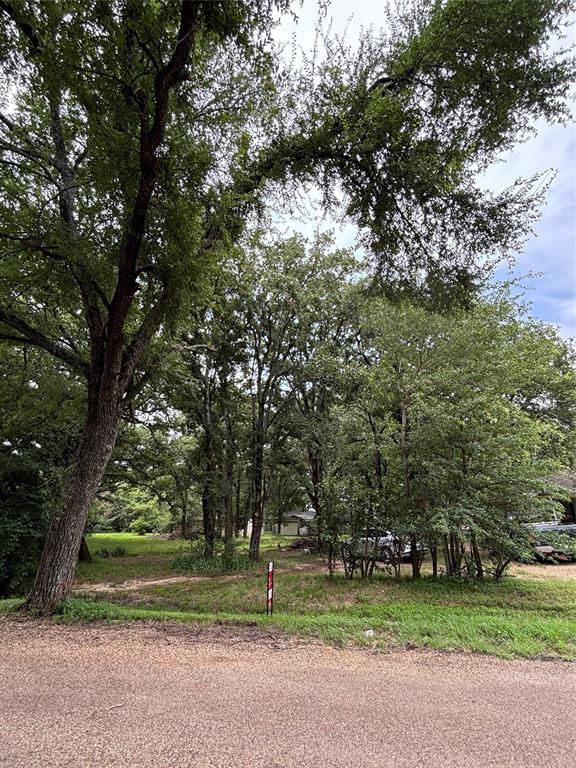 Mantle Manors Sec 02 - Land