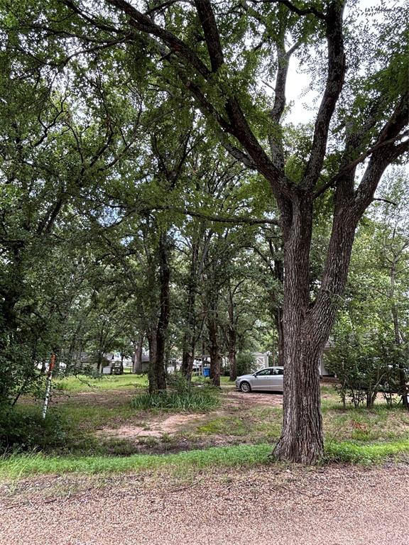 Mantle Manors Sec 02 - Land