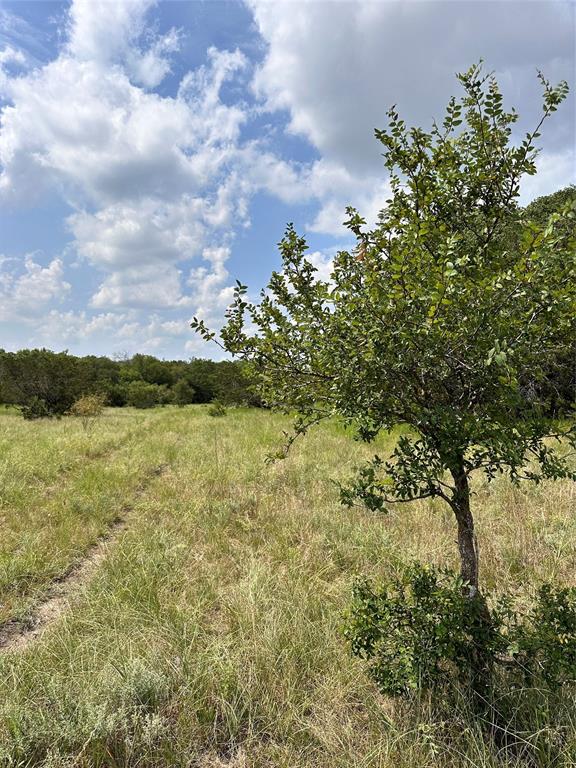 Acres 267.93, A0656 ROGERS MAGNUS T; A0313 GREEN - Farm