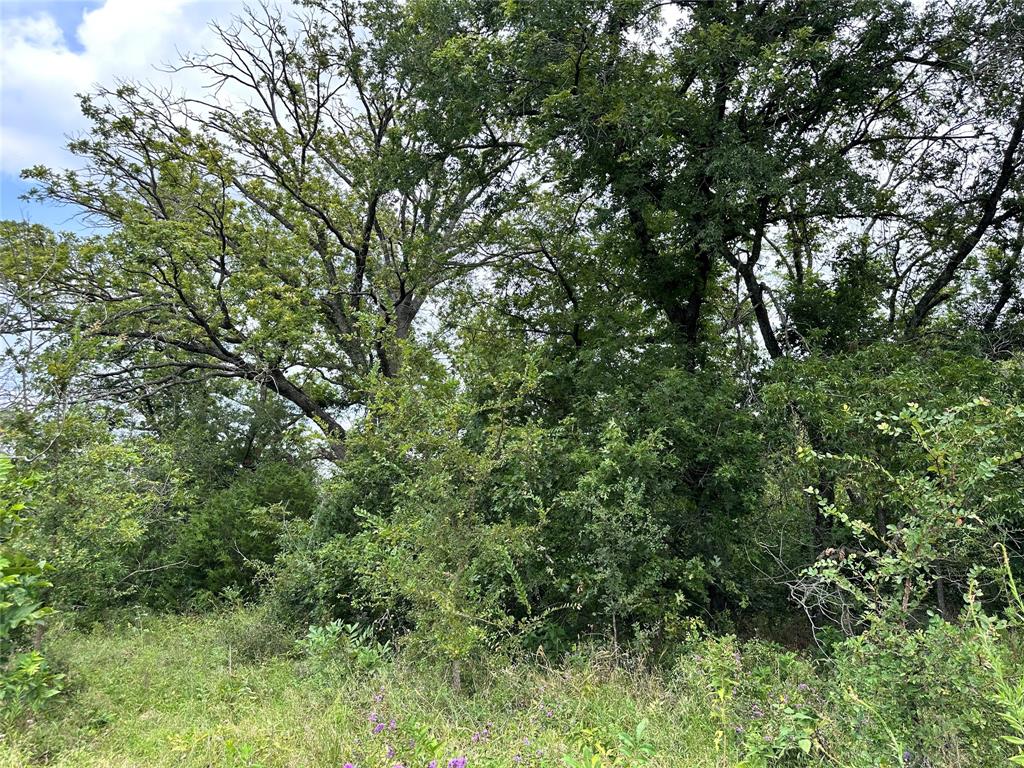 Acres 267.93, A0656 ROGERS MAGNUS T; A0313 GREEN - Farm