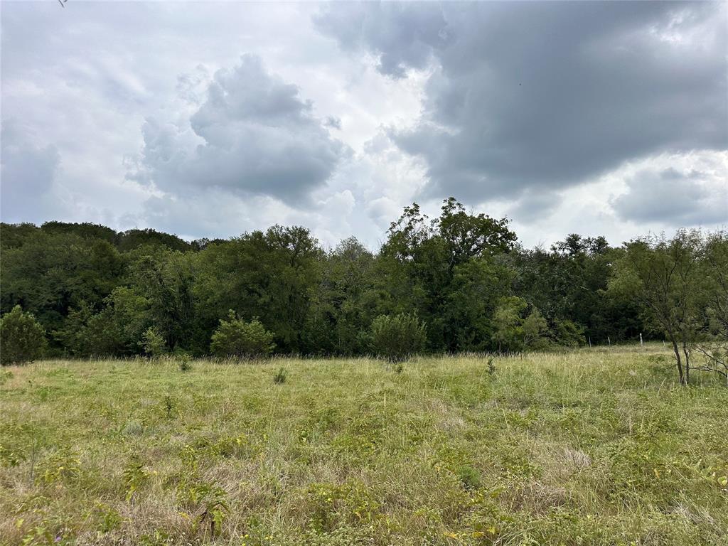 Acres 267.93, A0656 ROGERS MAGNUS T; A0313 GREEN - Farm