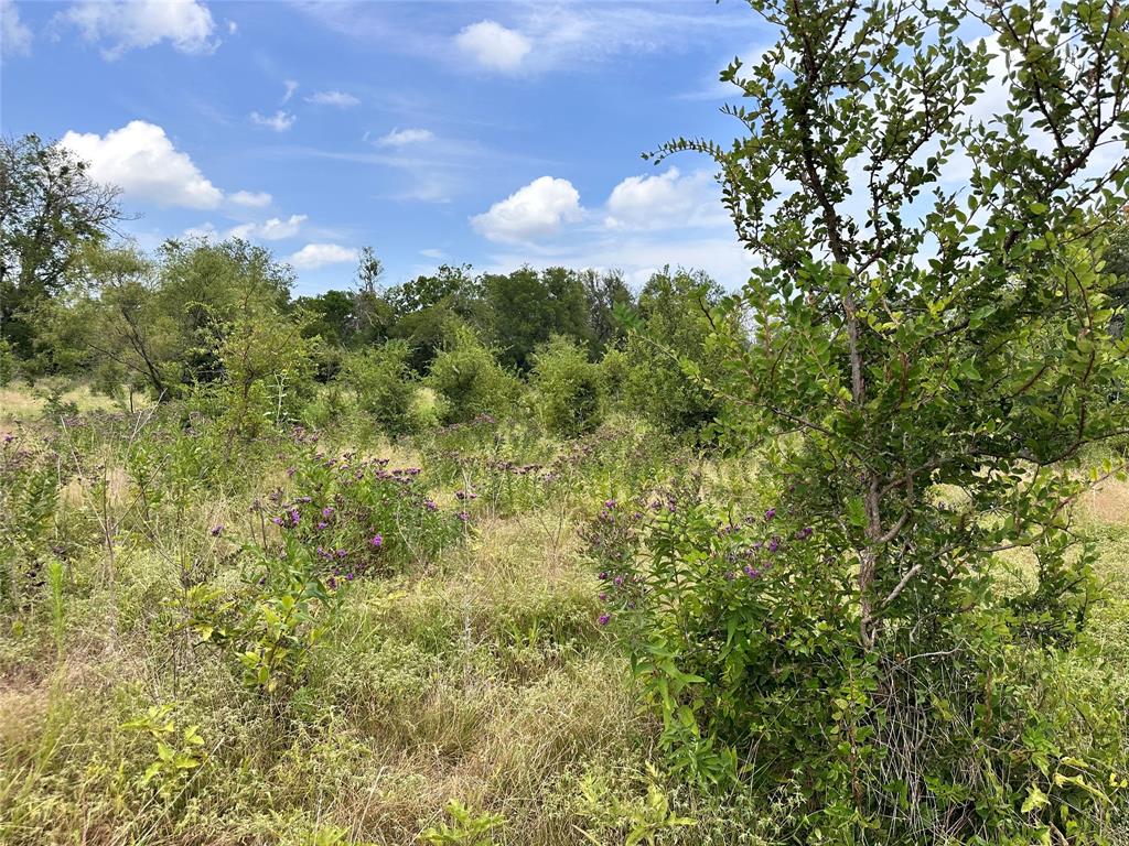 Acres 267.93, A0656 ROGERS MAGNUS T; A0313 GREEN - Farm