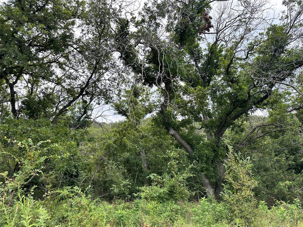 Acres 267.93, A0656 ROGERS MAGNUS T; A0313 GREEN - Farm