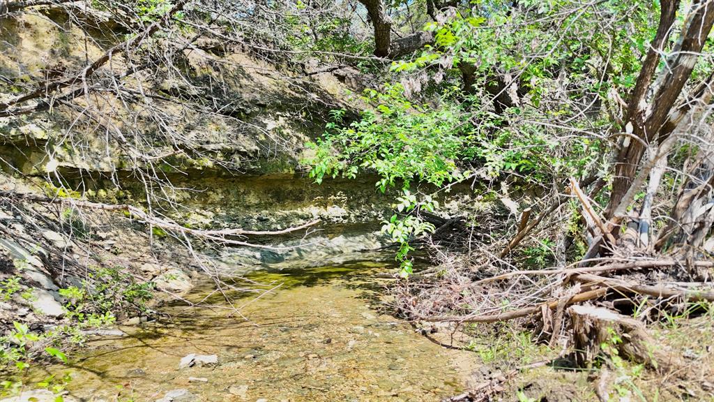 Acres 267.93, A0656 ROGERS MAGNUS T; A0313 GREEN - Farm