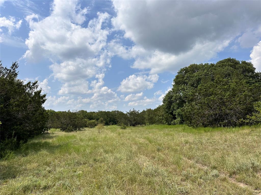 Acres 267.93, A0656 ROGERS MAGNUS T; A0313 GREEN - Farm