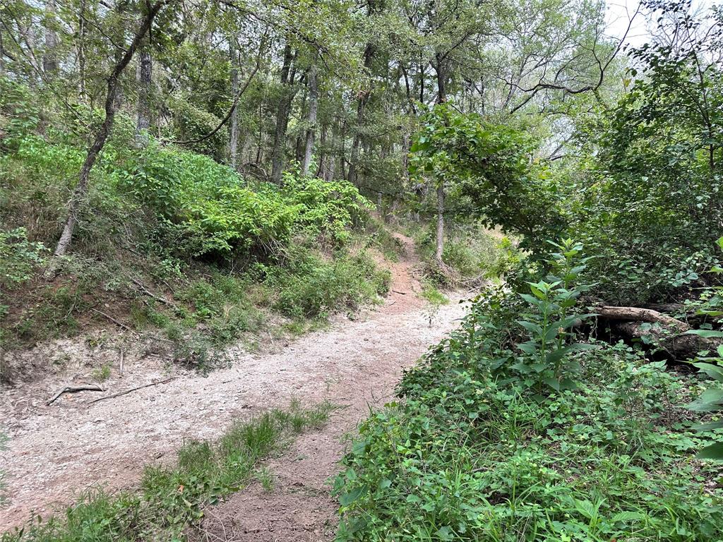 Acres 267.93, A0656 ROGERS MAGNUS T; A0313 GREEN - Farm