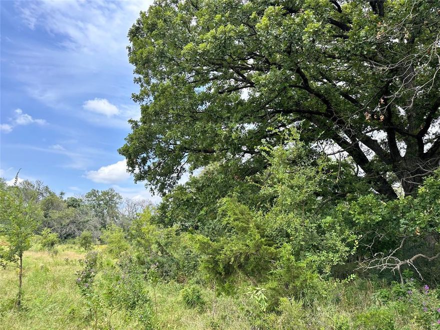 Come check out this beautiful 267.93 surveyed acres in the Hico ISD!  Located in Erath county just a few minutes away from Cowboy Capital of the world, Stephenville, TX!  This property is also just a few minutes away from the cute little town of Hico, TX where there are shops, fine dining, HiCo Hall, and the home of Billy The Kid!  There are no restrictions on this property, so just use your imagination on what you would like to do with it!  There are outstanding views where you can see for miles and miles!  The land is scattered with some gorgeous mature hardwood trees.  There are a couple of coastal pastures that could use a little TLC to bring them back, but the grass is there.  There is a creek running all down the west side of the property and another one on the north side of the property.  This property is used for grazing and hunting and is currently Ag Exempt.  A new fence is needed for the south boundary.  Seller financing available!  Contact agent for details.