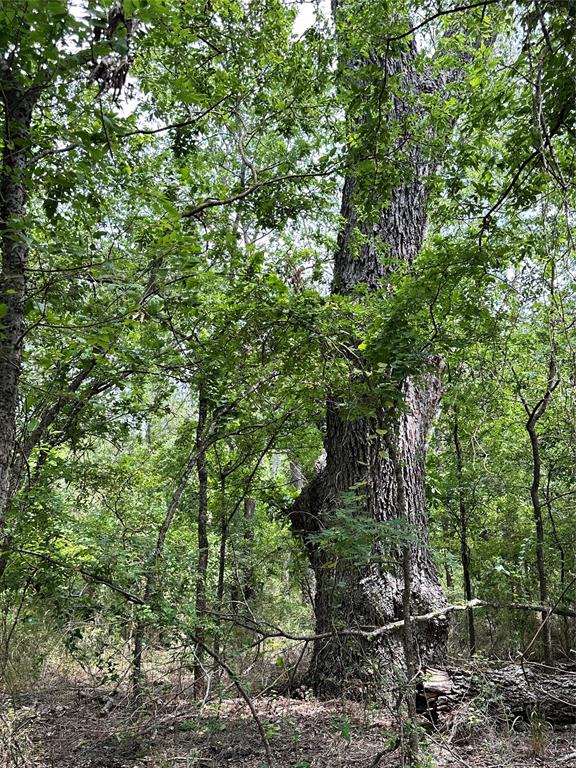 Acres 267.93, A0656 ROGERS MAGNUS T; A0313 GREEN - Farm