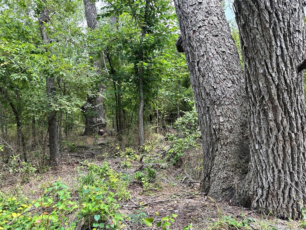 Acres 267.93, A0656 ROGERS MAGNUS T; A0313 GREEN - Farm