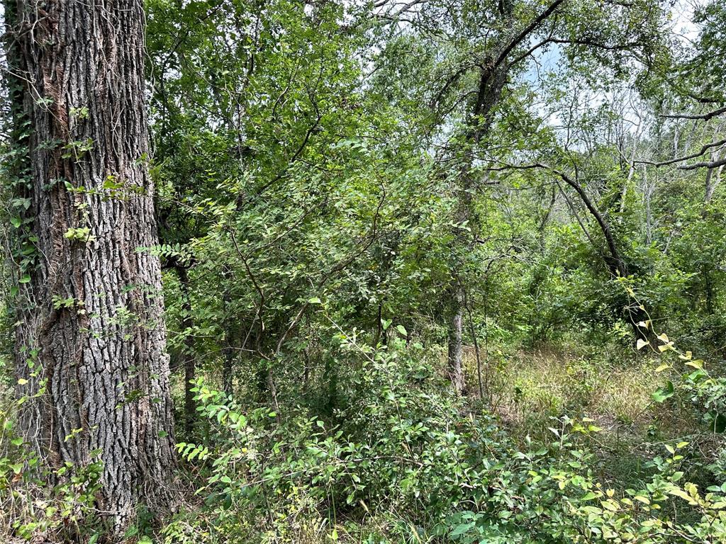 Acres 267.93, A0656 ROGERS MAGNUS T; A0313 GREEN - Farm