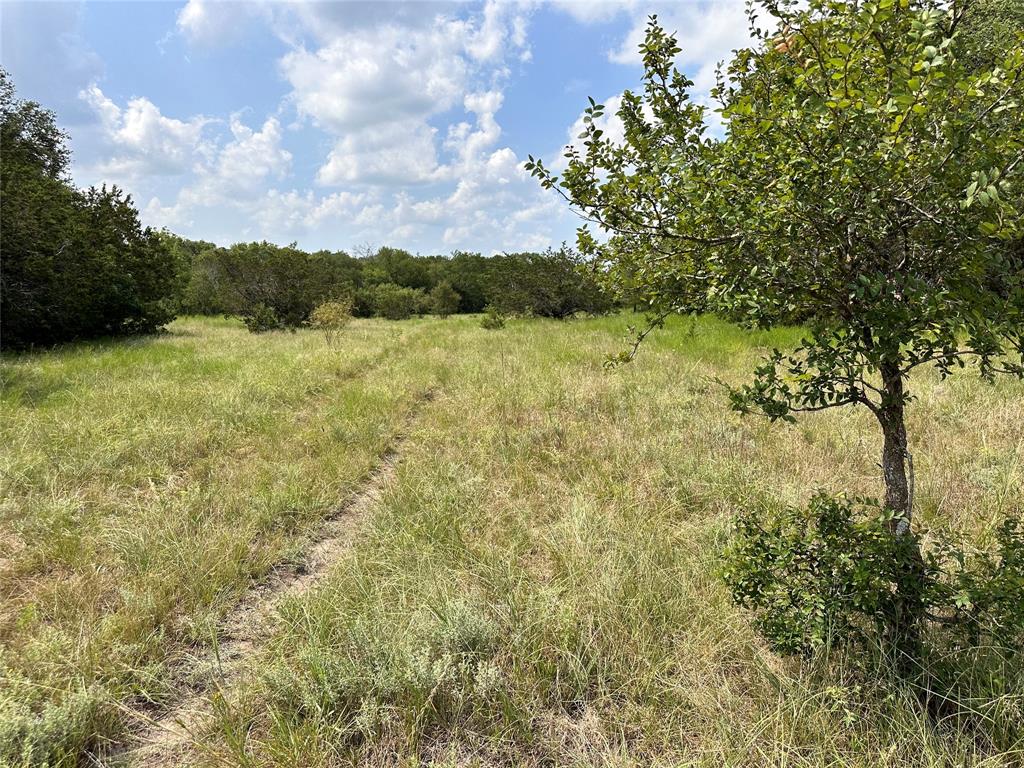 Acres 267.93, A0656 ROGERS MAGNUS T; A0313 GREEN - Farm