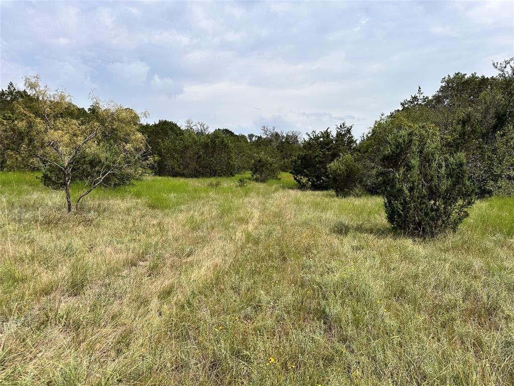 Acres 267.93, A0656 ROGERS MAGNUS T; A0313 GREEN - Farm