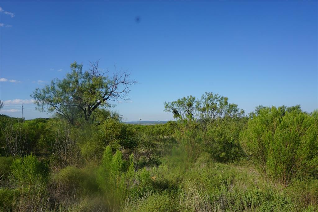 Lot 465 Canyon Wren