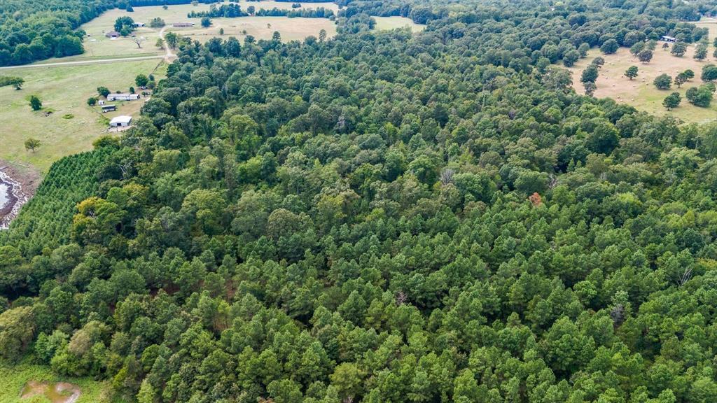 E O'conner Surv Abs #384 - Land