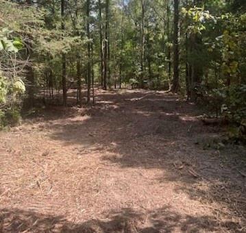 E O'conner Surv Abs #384 - Land