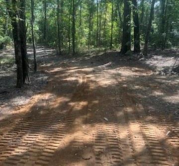 E O'conner Surv Abs #384 - Land