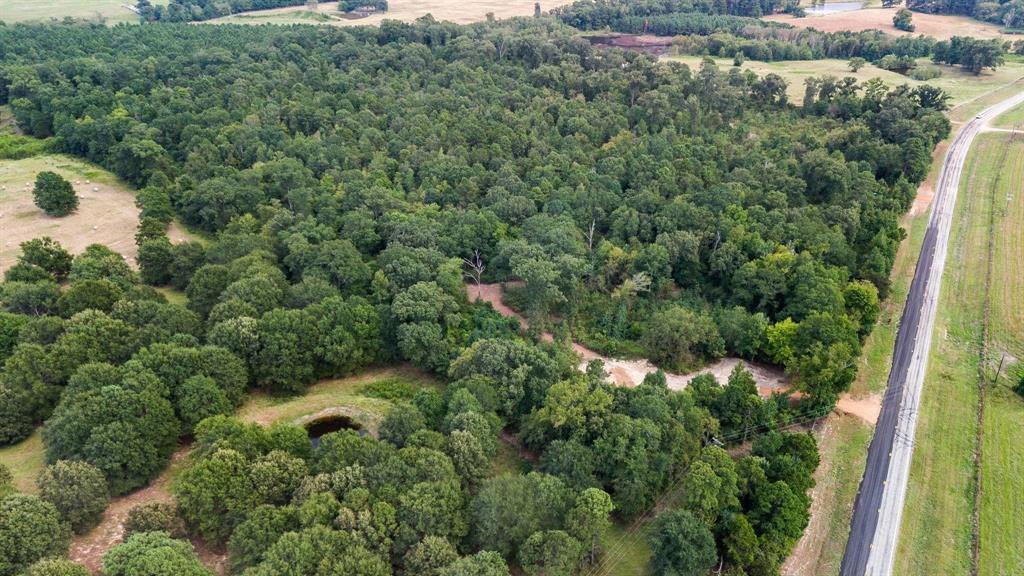 E O'conner Surv Abs #384 - Land