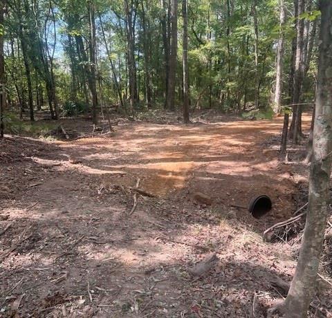 E O'conner Surv Abs #384 - Land