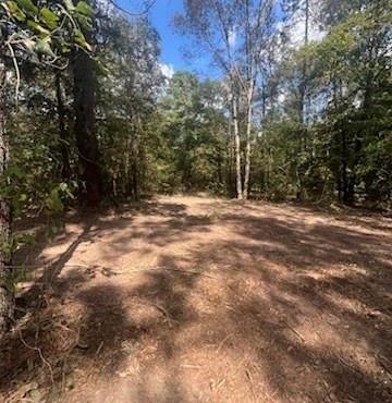 E O'conner Surv Abs #384 - Land